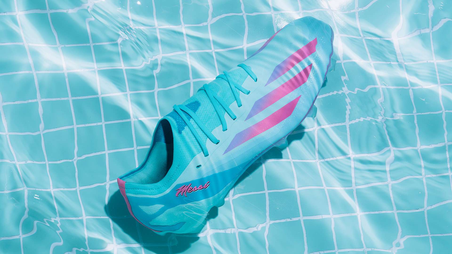 日后的发展 日后的发展